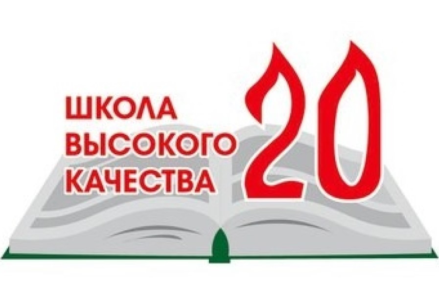 Логотип школы 20
